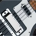Rickenbacker 4001 free soundbank by The Control Centre